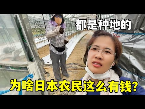 周日英足总,杯第,场预热,拼搏在线彩神通,彩票平台,高频彩票,在线投注,快速开奖