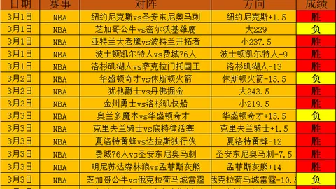 篮球赛事分析：太阳VS黄蜂深度解读